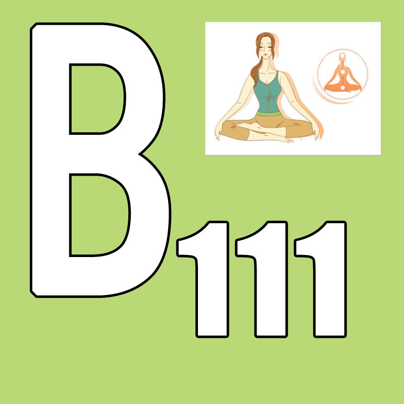 Yoga Fitness Course - Hot Sale Latest Release 2026.Q1 New