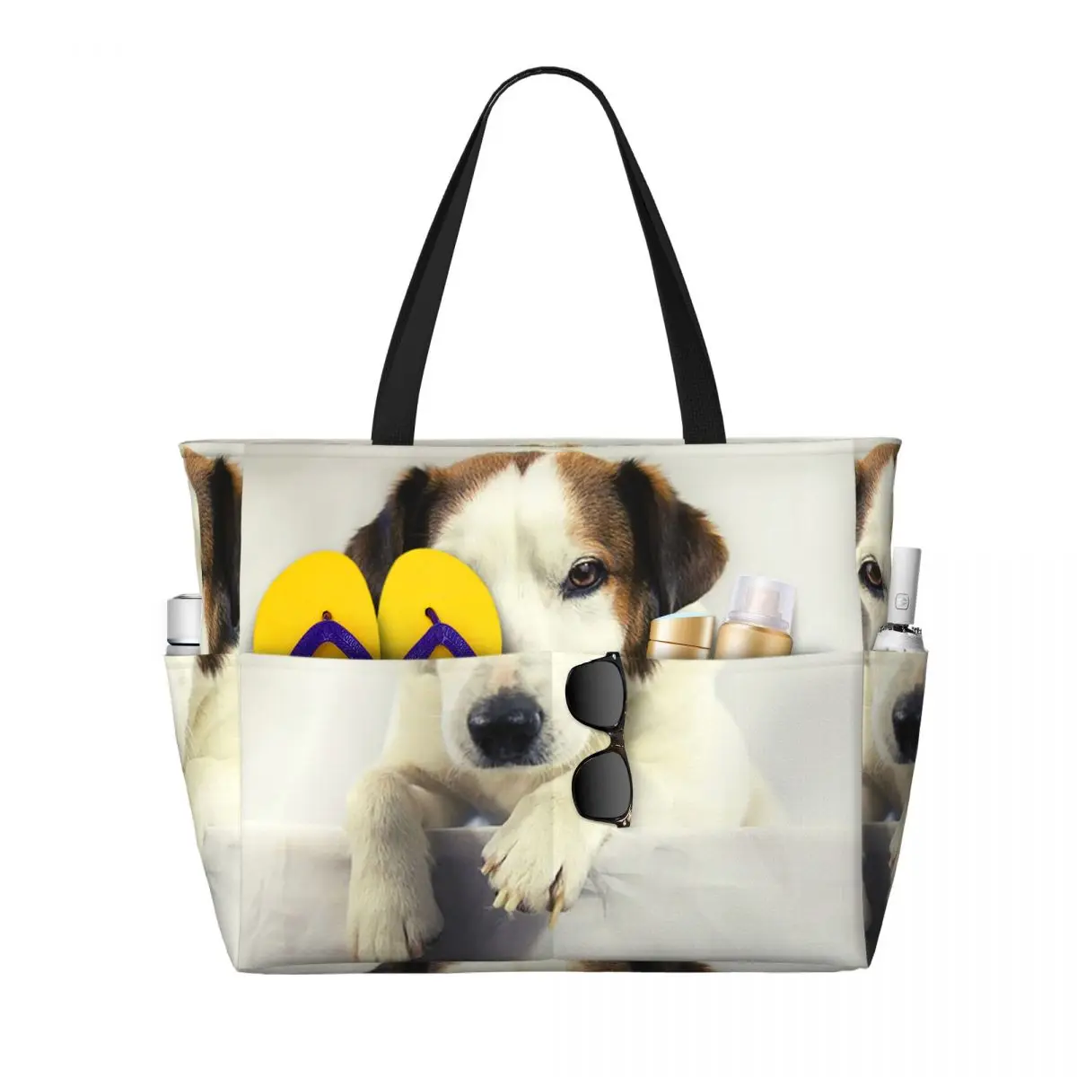 Dog Jack Russell Terrier Photo - Yoga Fitness Gym Photos ulasan dan harga