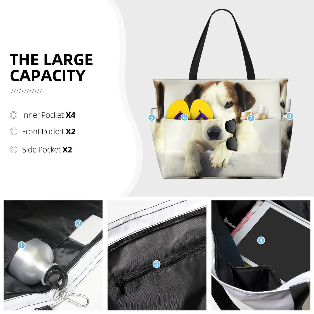 Dog Jack Russell Terrier Photo - Yoga Fitness Gym Photos ulasan dan harga