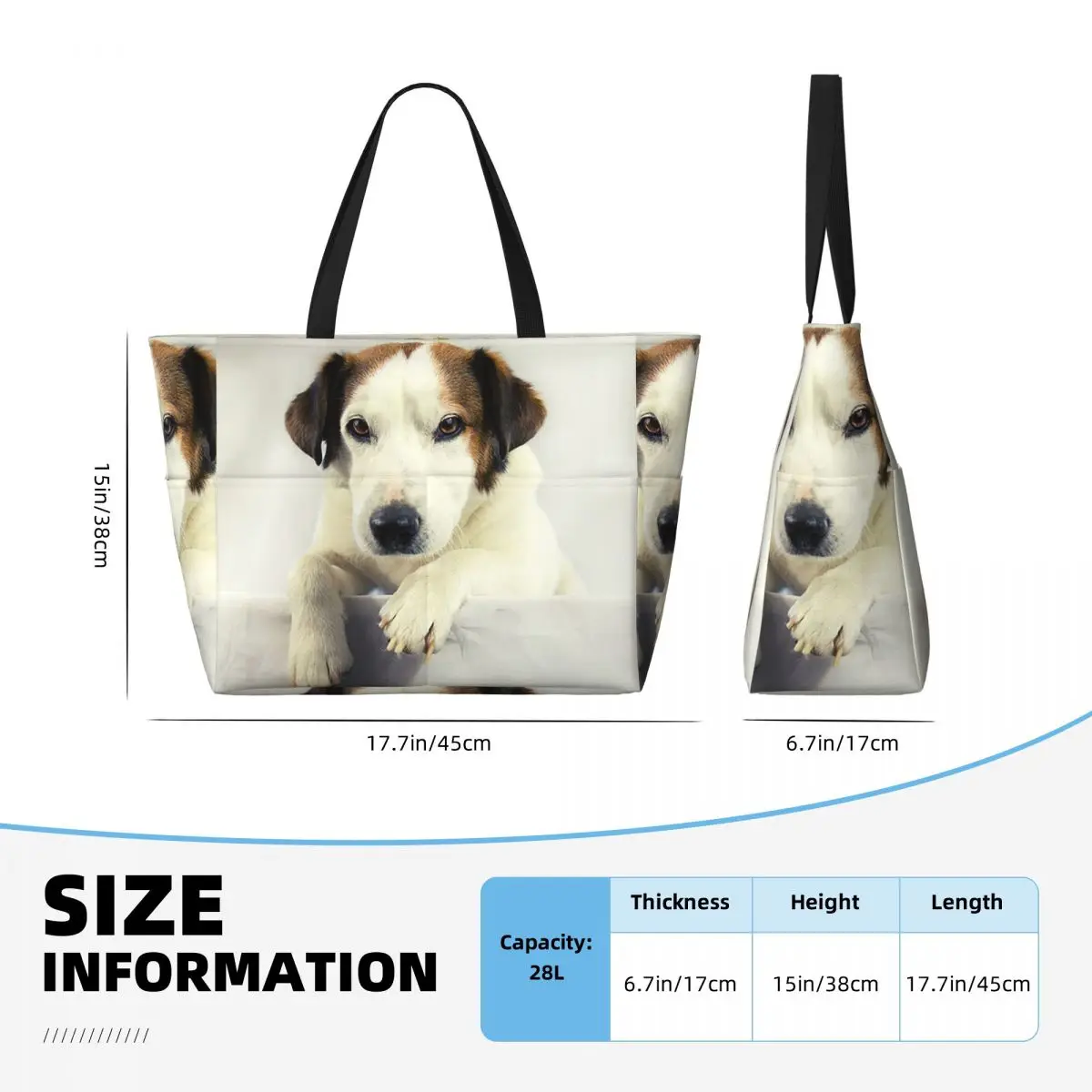 Dog Jack Russell Terrier Photo - Yoga Fitness Gym Photos ulasan dan harga