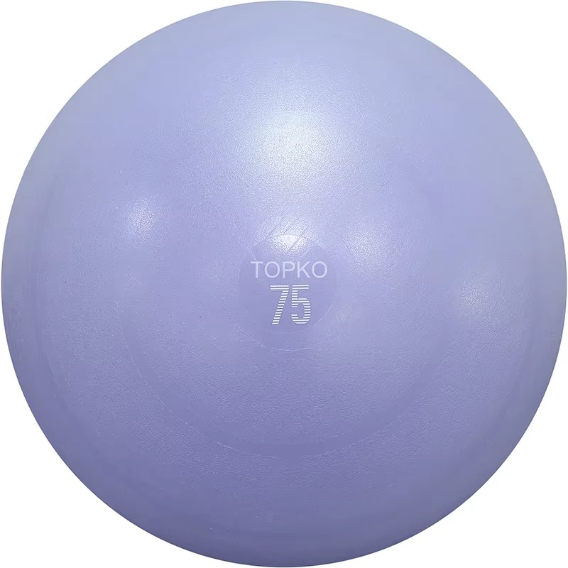YTYIN TOPKO Yoga Ball Exercise - Exercise Ball Stability ulasan dan harga
